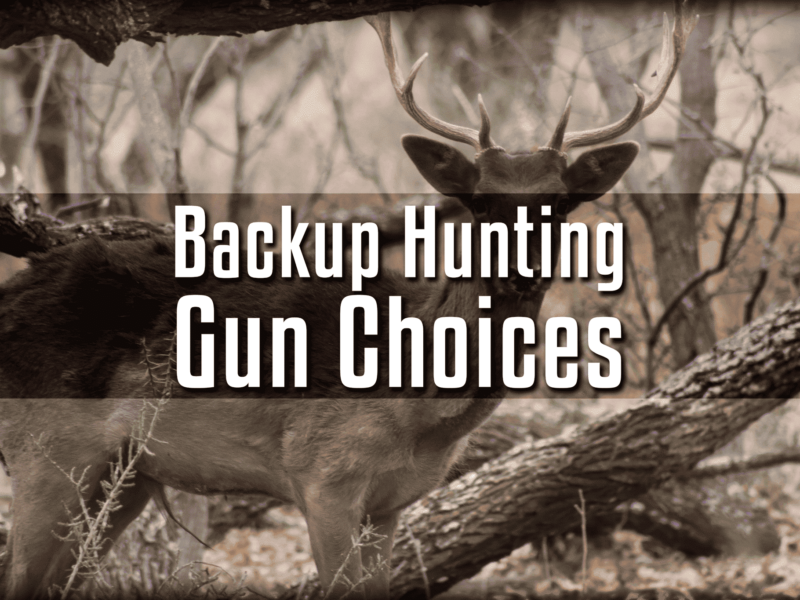 Backup Hunting Gun Choices